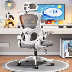 P2 Ergonomic Chair, Comfortable Computer Chair, Gaming Chair, Home Office Chair, Desk Chair, Bedroom Chair