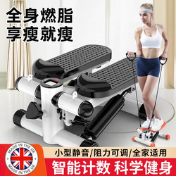 Elliptical Machine, Home Fitness Equipment, Small Walking Machine, Silent Weight Loss, Slimming Legs, Running and Climbing Machine, Indoor Stepper