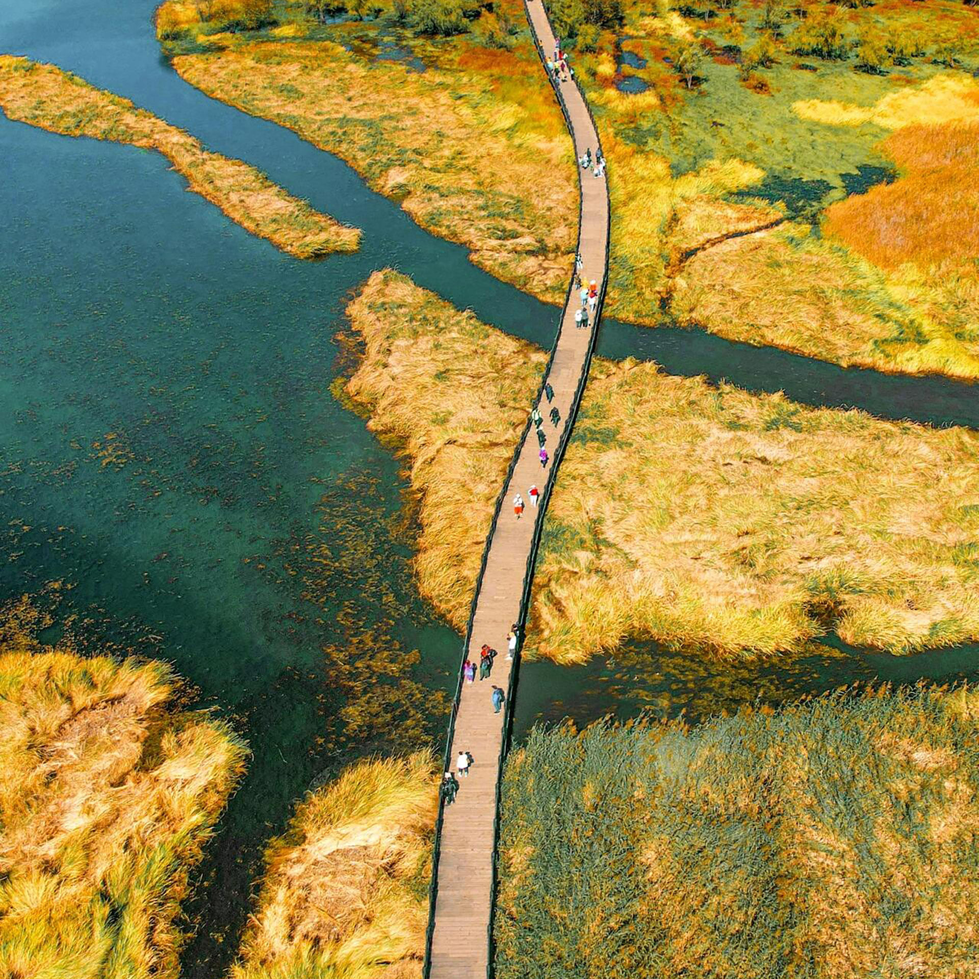 云南旅游昆明丽江玉龙雪山索道泸沽湖篝火晚会5天4晚韶华纯玩小团