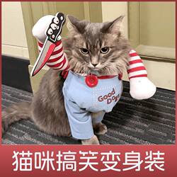 Funny Cat Costumes, Quirky and Cute Pet Outfits, Props for Small Dogs, Silver Shaded Ragdoll Cat Killer Transformation Outfit