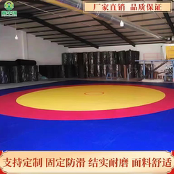 Wrestling Mat Martial Arts Sanda Taekwondo Tai Chi Push Hand Cover Single Competition Training Pvc Cover Cloth Judo Mat