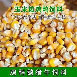 
Yellow corn pellets for chickens, ducks, geese, pigeons, cattle, sheep, pigs, horses and rabbits, animal feed, pet food, fishing nesting, sweet corn
