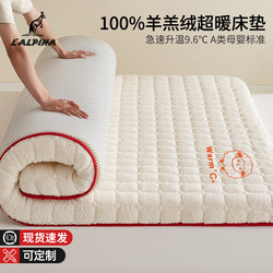 Lalpina Lamb Wool Mattress Home Soft Cushion Bedroom Mattress Pad Winter Thickened Warm Student Mattress