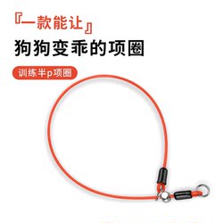 Dog Collar Explosion-Proof Adjustable P-Chain for Small and Large Dogs, Thin Dog Neck Strap, Small Dog Collar, Large Dog P-Leash