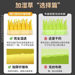 Physical Humidifier, Evaporative Eco-Friendly Humidifying Paper, Humidifier for Office and Home Use, Noiseless Heating Humidification Device