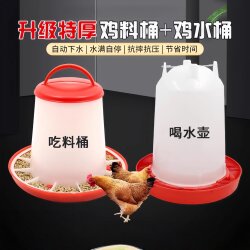 Feeder Troughs for Raising and Feeding Chickens, Chicken Feeders, Feed Buckets, Feed Troughs, Automatic Waterers, and Other Useful Tools