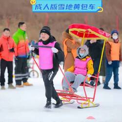 Winter Ice and Snow Equipment for Children and Adults: Snow Rickshaw, Ice Bike, Ice Bumper Car, Snow Carousel