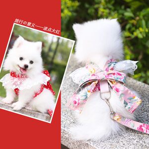 Dogs and cats pet supplies clothes cat leash bow dog harness dog walker dog anti-lost
