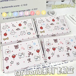 Graffiti Kitten Airplane Box Ins High-Value Card Packaging Box Gift Box Express Delivery Packaging Girly Cardboard Box