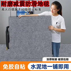 Bedroom Floor Mats, Shock-Absorbing, Sound-Proofing, Anti-Fall Carpets, Living Room Washable and Wipeable Carpets, Commercial Anti-Slip Cement Floors