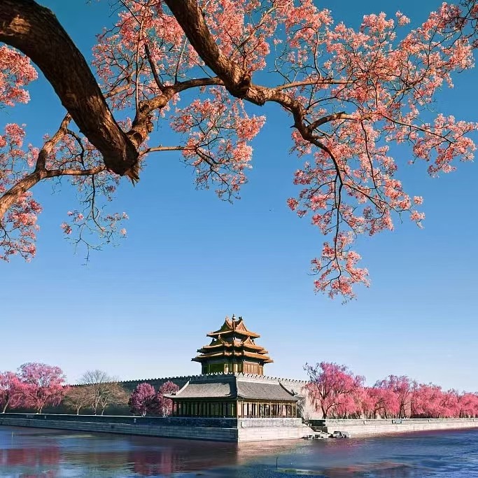 北京 故宫博物院 【含门票】 15人小团/耳麦/亲子游/人工讲解