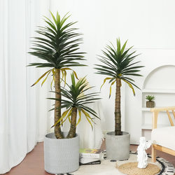 Artificial tropical plant gladiolus bonsai large simulated plant sisal potted indoor floor-standing fake green plant agave