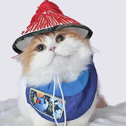 Festive Traditional-Style Pet Clothing, Quirky Aopai Outfit, Cat and Dog Shawl, Polyester Pet Clothing