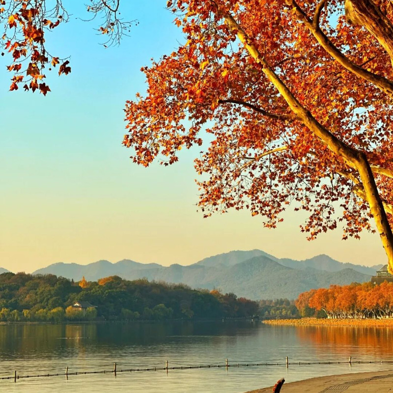 【杭州漫游】杭州西湖/乌镇景区/多酒店可选/水乡精品自由行