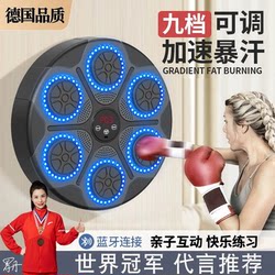 German Boxing Target Bluetooth Music Wall Target Home Smart Sports Music Boxing Machine Parent-Child Boxing Training Device