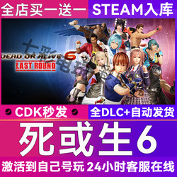 Dead or Alive 6 Steam Global Region Activation Code Cdk Permanently Added to the Library with All Dlcs Dead or Alive 6