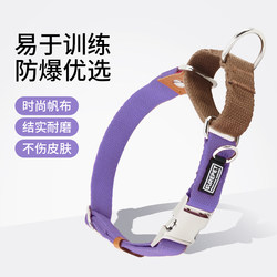 Dog Collar with Leash, Anti-Pull Training P Collar for Medium and Large Dogs, P Chain Collar, Anti-Lost Dog Leash