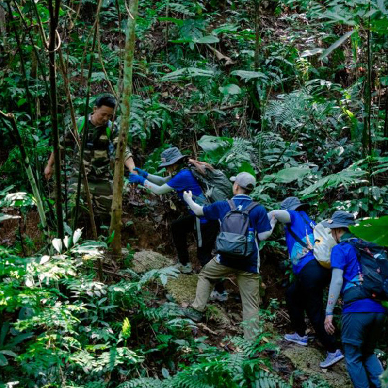 纳卡雨林2天1夜(野炊版)