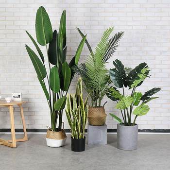 Simulation Green Plant Large Potted Traveler Banain Leaf Banyan Tree Horticultural Plant Tiger Pipchida Turtle Back Home Decoration Window
