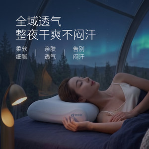 【觉觉猪 深睡必备】零压慢回弹记忆枕三芯护颈Pro3Max颈椎赠枕套