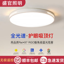 2025 New Model Led Ceiling Light for Room, Bedroom, Living Room, Hall, Modern Simple and Elegant Zhongshan Lighting Fixtures