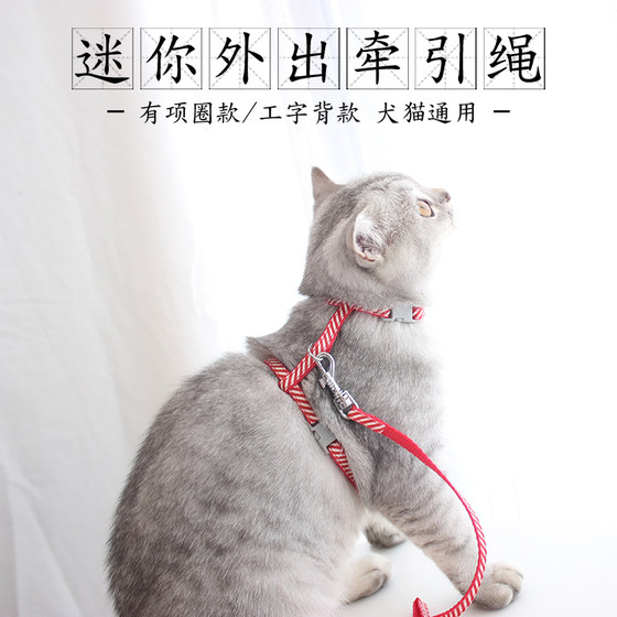 Dog kitten puppies traction rope rope bell bell, traction rope small toy tea cup dog mini walking dog cat rope
