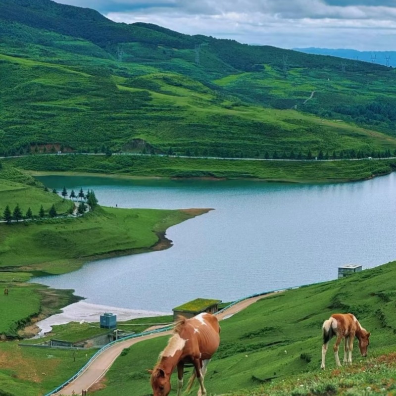 贵州乌蒙大草原一日游贵阳出发私家团包车游上门接送独立包团