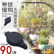 Retractable hook, creative home and gardening supplies, liftable rope, birdcage, hook, pothos, can be used with hanging pots