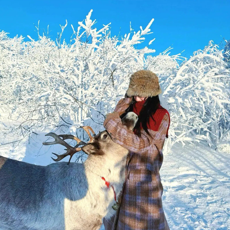 冰雪世界&8人纯玩小团丨乌兰布统木兰围场越野穿越 3天2晚跟团游