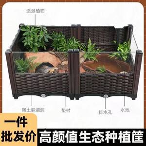 
Pet supplies Pet smart equipment Pet smart feeding equipment Turtle Hamster Rutin chicken breeding box