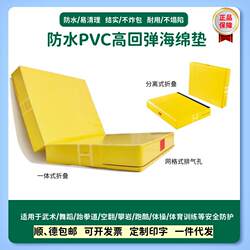 Acrobatic Training Mat for Martial Artists, Ultra-Thick Soft Mat for Dance, Foldable and Thickened Sports Jump Protection Mat