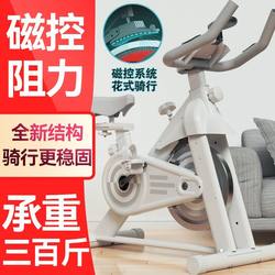 Dynamic Exercise Bike for Home Use, Weight Loss Gym Bike, Silent Indoor Fitness Equipment, Exercise Pedal Bike