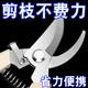 Germany imported steel scissors and pruning scissors garment and flower, tree, fruit tree grafting garden shearing tools