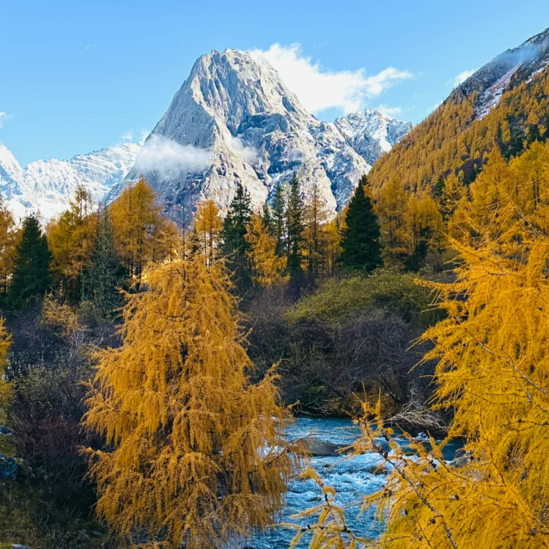 四姑娘山一日游*尊享私家团&不拼车&含门票观光车&纯玩&无购物