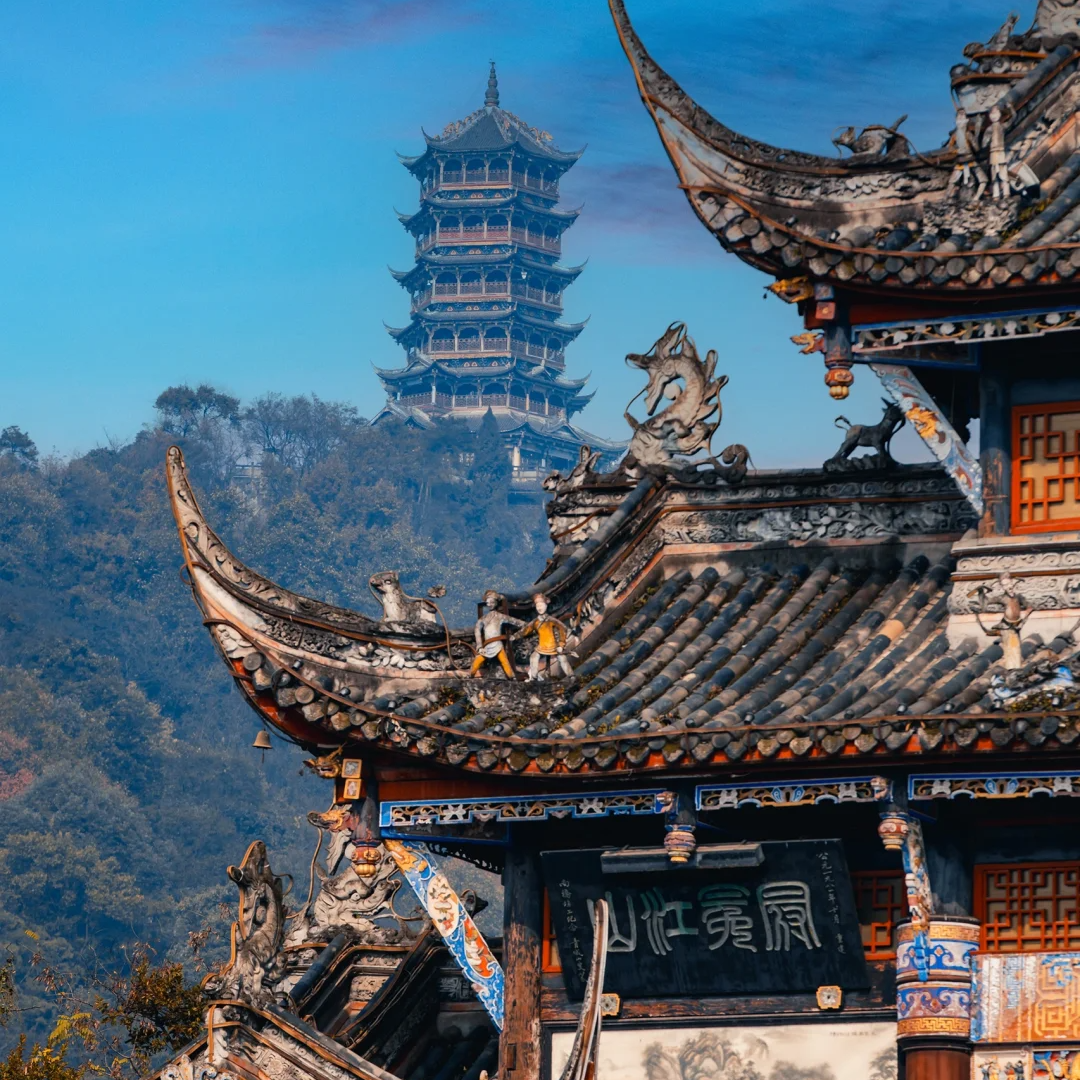 包车游/都江堰+成都大熊猫繁育基地&一单一团&不拼车&无购物