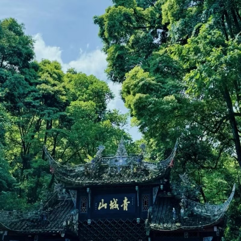 包车游/青城后山&一单一团&不拼车&无购物&无猫腻&亲子出游