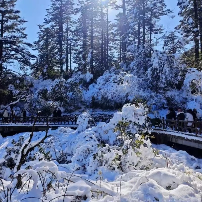 瓦屋山一日游&包车游带司机&独立出行&三环内接送