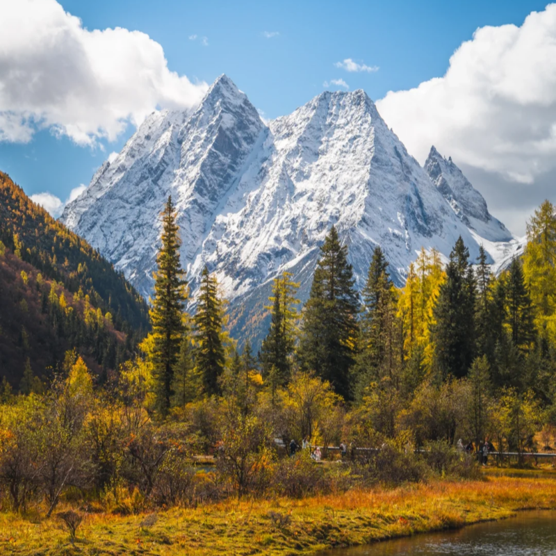 四姑娘山一日游*尊享私家团&不拼车&含门票观光车&纯玩&无购物