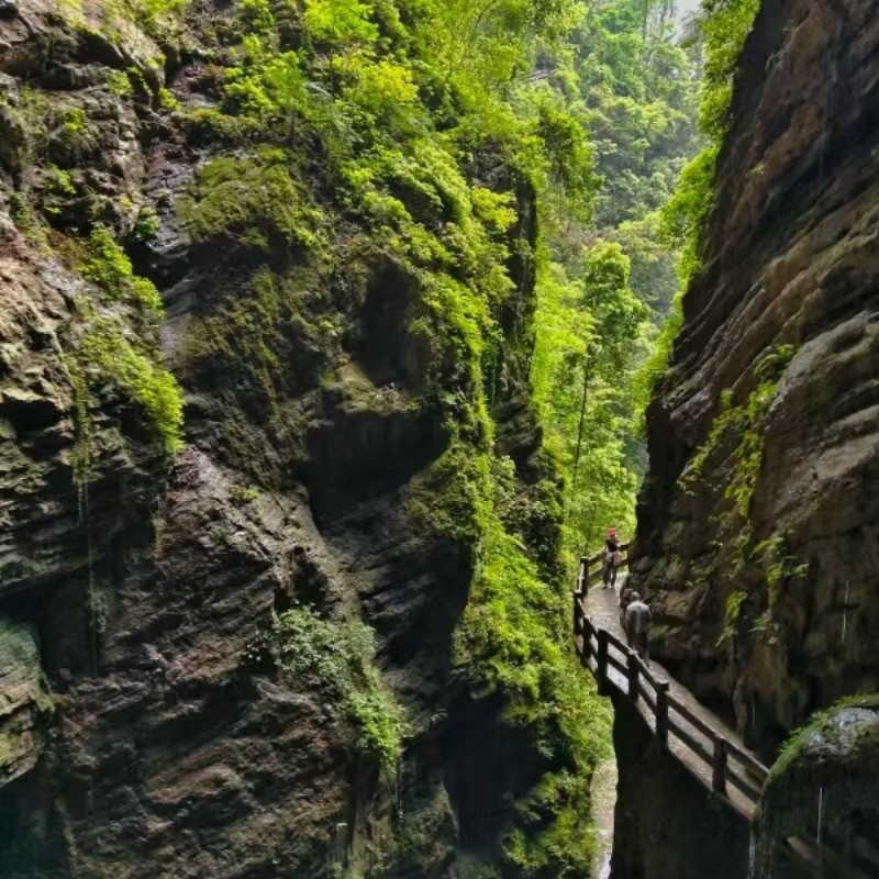 武隆仙女山+天生三桥风景区一日游*包车游含门票*拍一单为一车