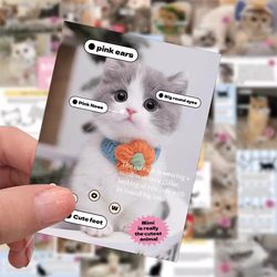 120 pieces of cute kitten cute pet stickers with good looks, English ins style, waterproof, creative mobile phone luggage, computer diy handbook stickers, decorative small patterns