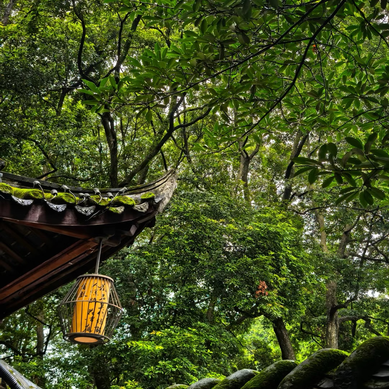 杜甫草堂【汀兰集 金牌讲师 2小时深度讲解 6人私家团】