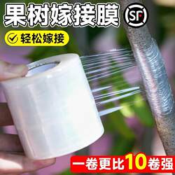 No-Disassembly Grafting Film, Special Film for Fruit Tree Grafting, Self-Adhesive Wrapping Film, Tape, Binding Film, Transparent Plastic Film