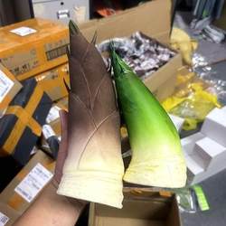 Simulated Spring Bamboo Shoot Model, Fake Bamboo Shoots, Toy Bamboo Shoots, Fake Fruits and Vegetables, Kitchen Decorations, Cabinet Props