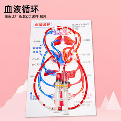 diy human blood circulation model kindergarten science and technology small production of scientific experiment equipment for primary school students