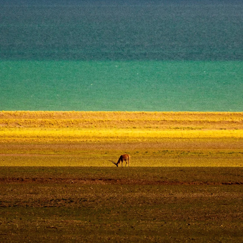 西藏旅游阿里北环线跟团游4人拍摄团冈仁波齐珠峰羊湖纳木措9天
