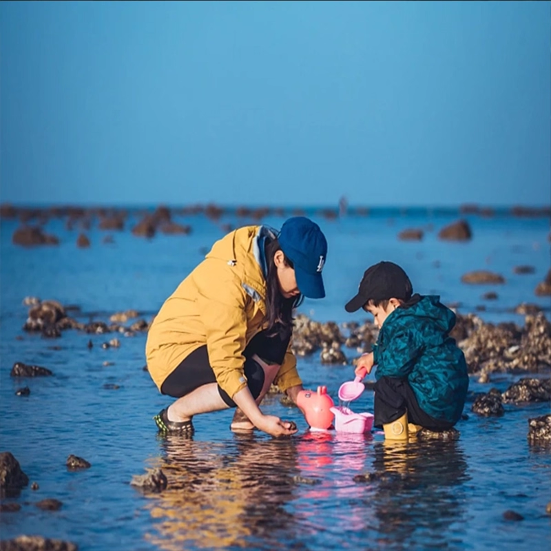 厦门旅游5天4晚0购物 | 南普陀鱼趣赶海曾厝垵鼓浪屿一天自由活动
