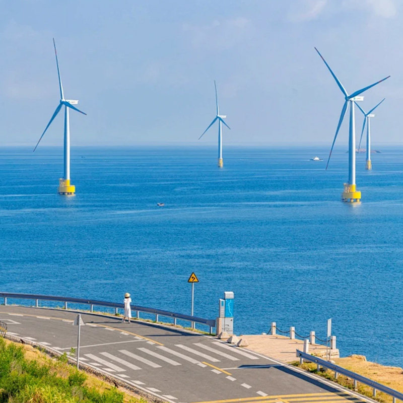 一天自由活动 | 厦门旅游5天4晚0购物南普陀鱼趣赶海曾厝垵鼓浪屿