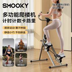 Home-Use Silent Stair Climber Fitness Machine for Lazy People, Fat-Burning and Weight-Loss Climbing Exercise Equipment, Stepper