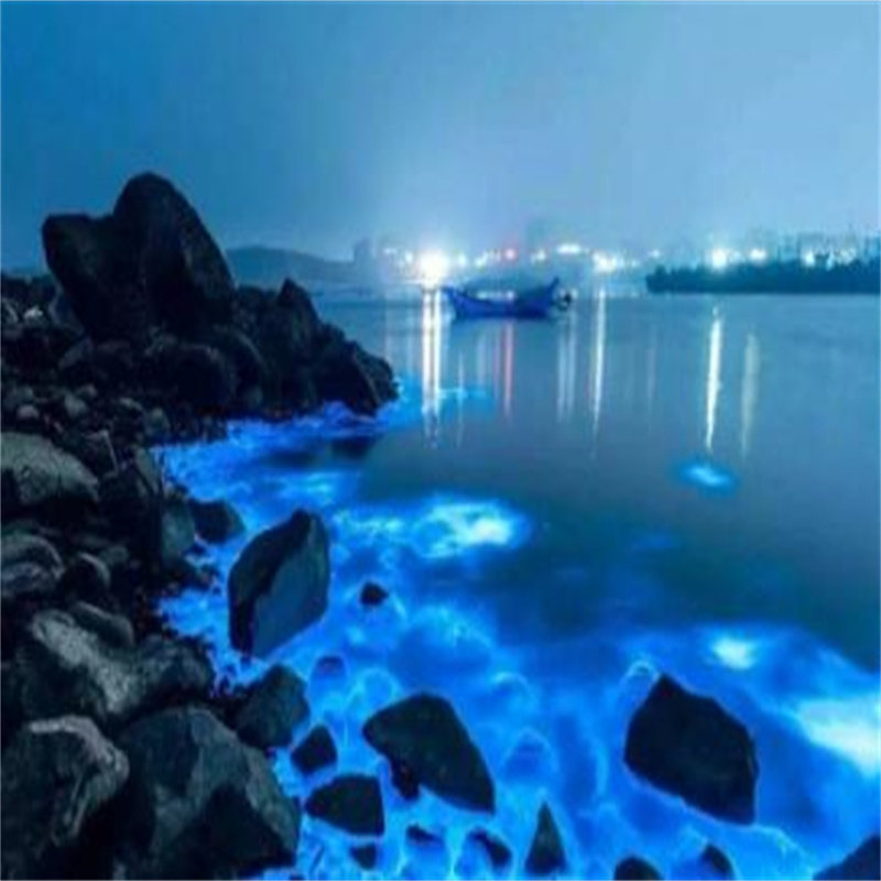 福州市区平潭岛南北2天1晚跟团游 6人纯玩团猴研岛可选看游神旅游