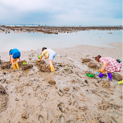 厦门帆船出海冲浪+梦幻海岸赶海踏浪一日游【赠闽南风味海鲜餐】